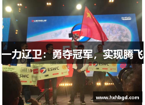 一力辽卫：勇夺冠军，实现腾飞